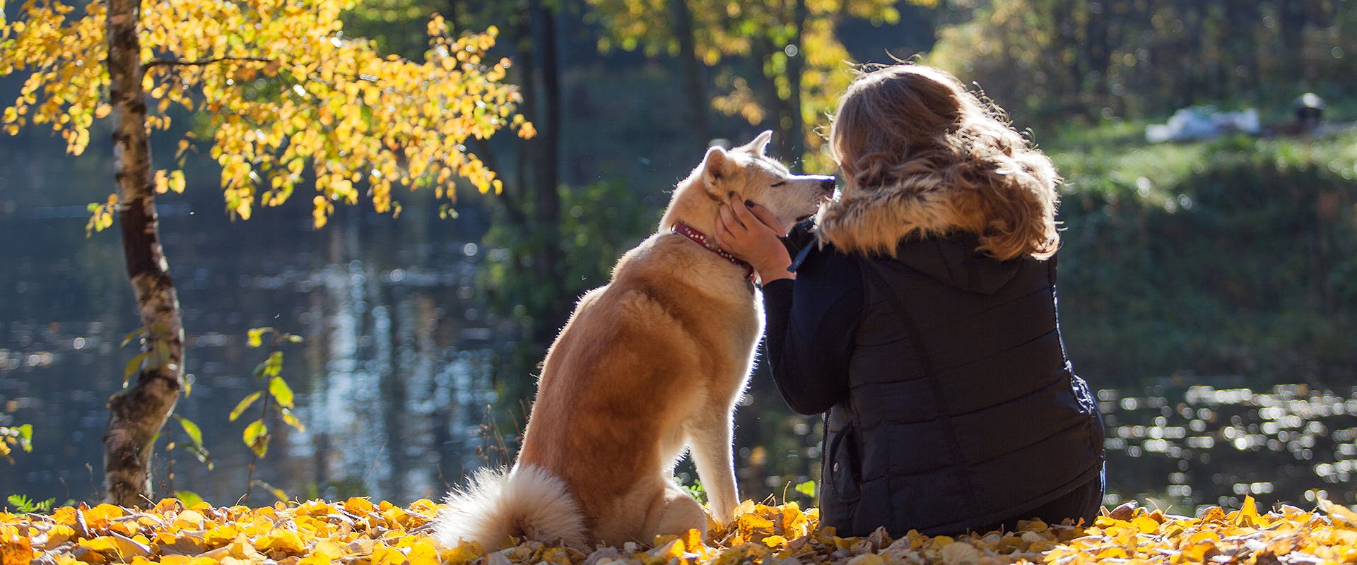 Μια γυναίκα κάθεται δίπλα σε μια λίμνη, χαϊδεύοντας έναν ιαπωνικό σκύλο Akita